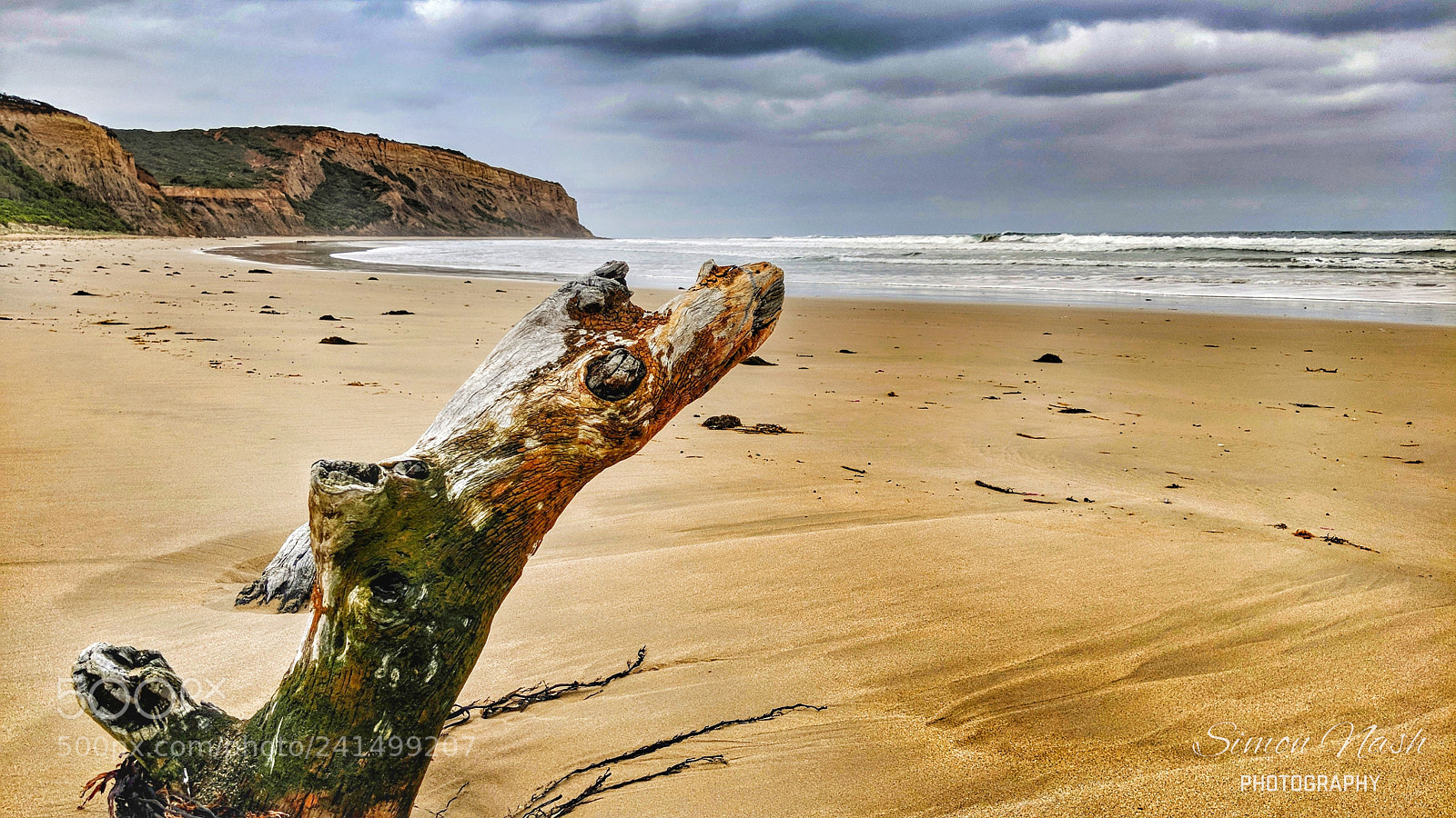 Google Pixel 2 XL sample photo. Driftwood photography