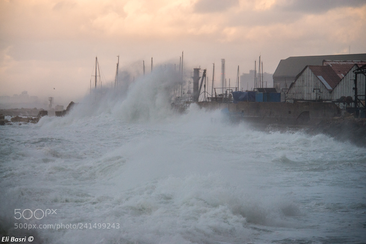 Nikon D800 sample photo. The wave photography