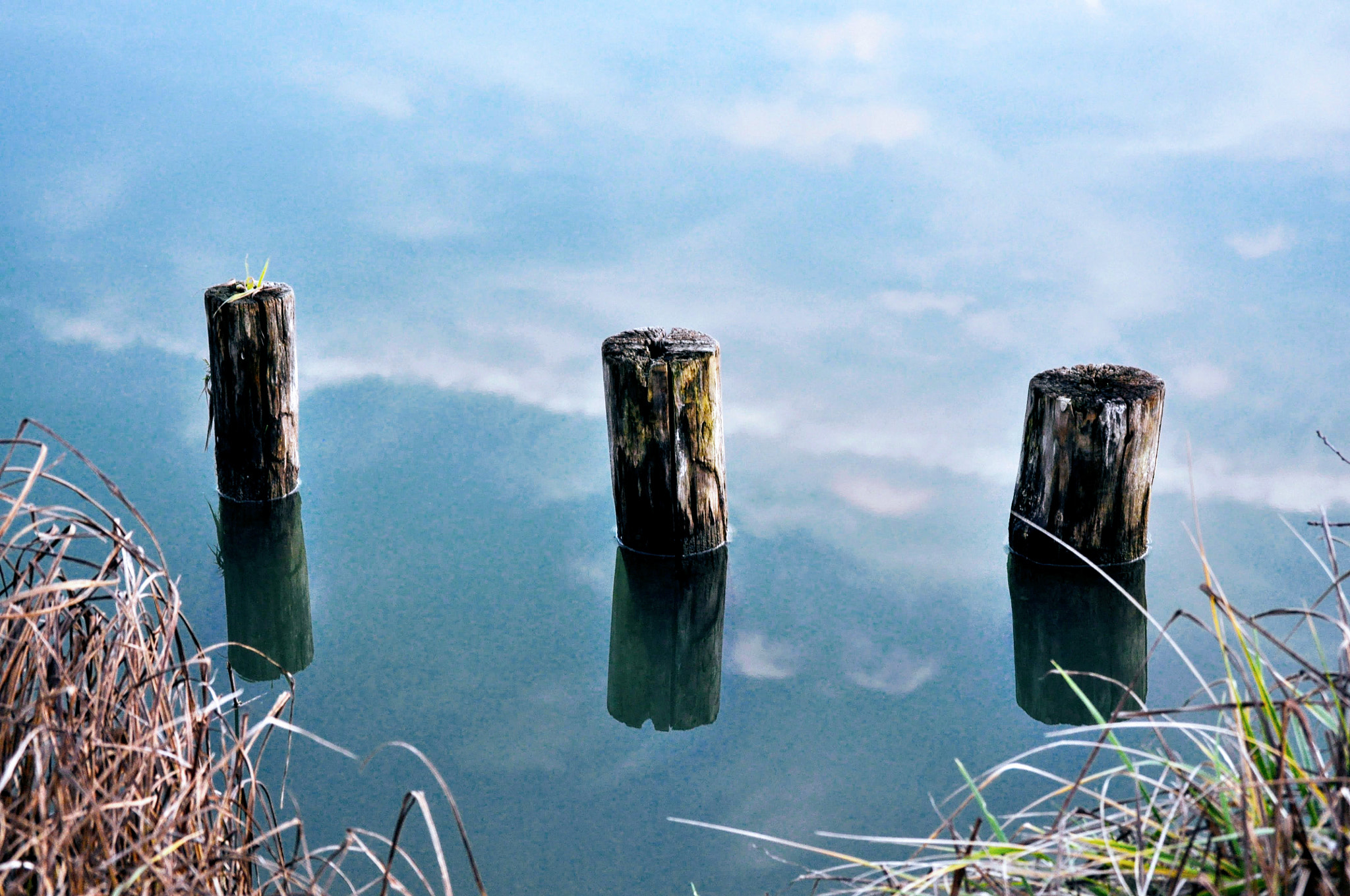 Nikon D90 sample photo. Laguna photography