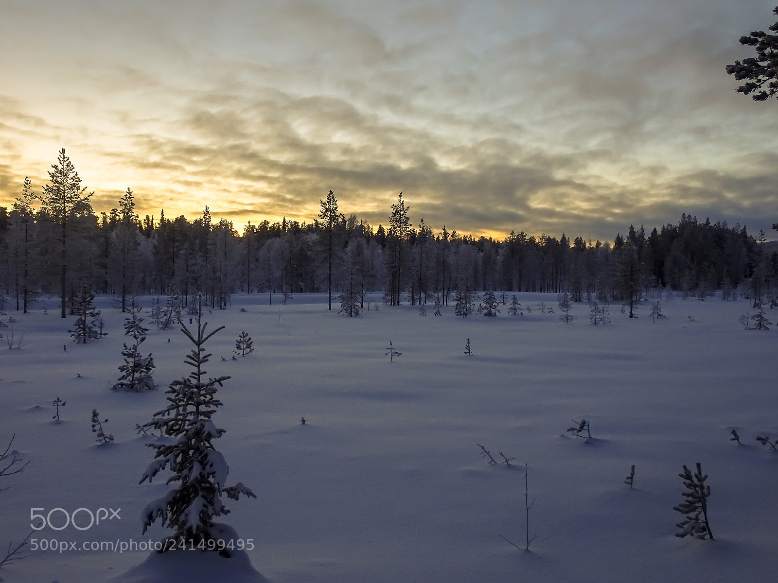 Sony Cyber-shot DSC-HX90V sample photo. Sunset in winter wonderland photography