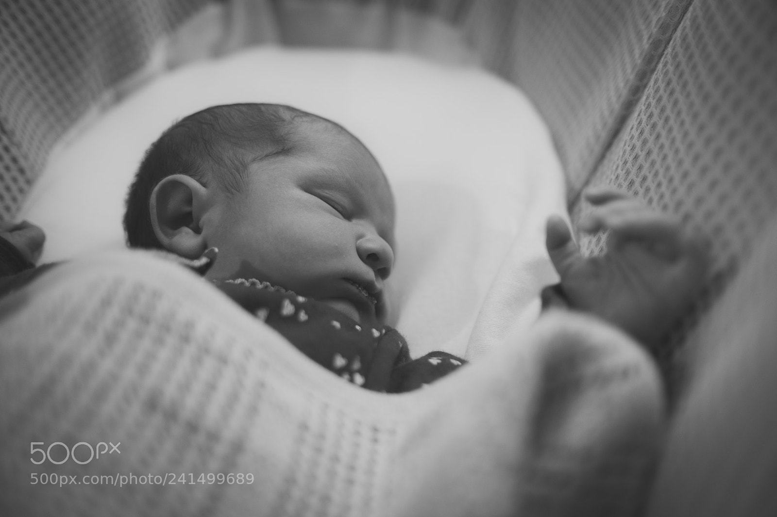 Fujifilm X-T2 sample photo. Robyn photography