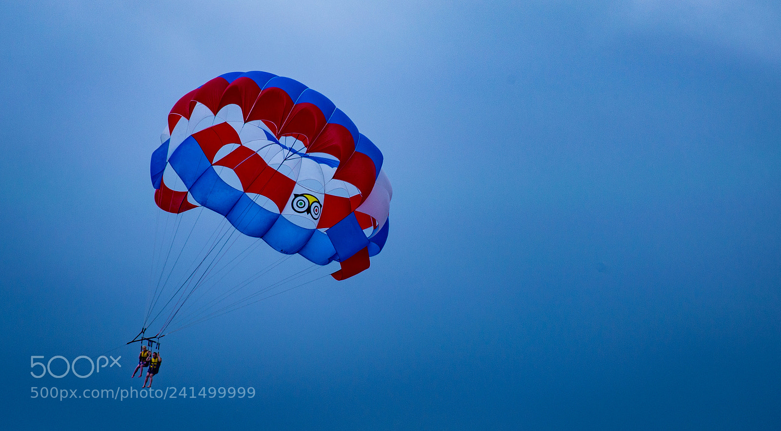 Nikon D800 sample photo. Parasailing photography