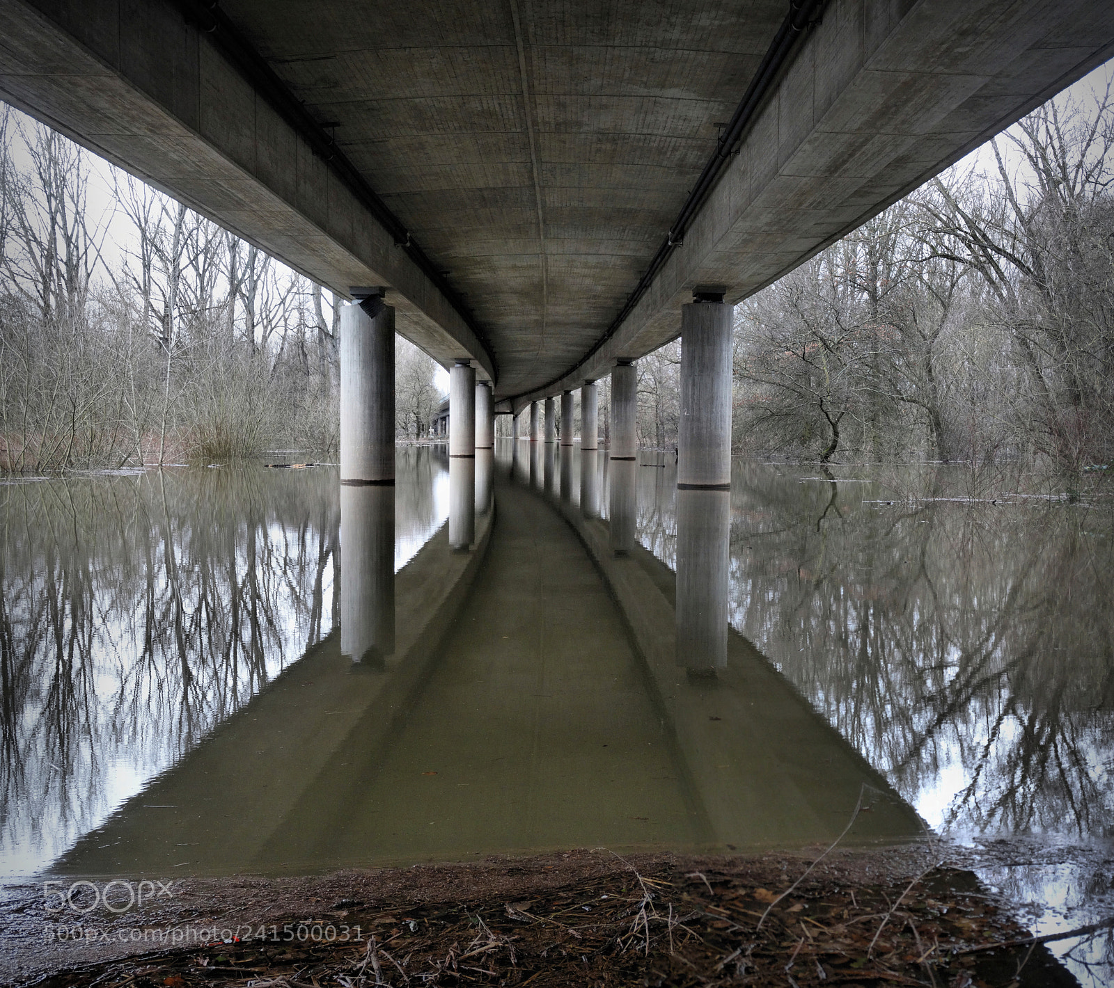 Sony Cyber-shot DSC-HX300 sample photo. Siegbrücke-hochwasser 2018 photography