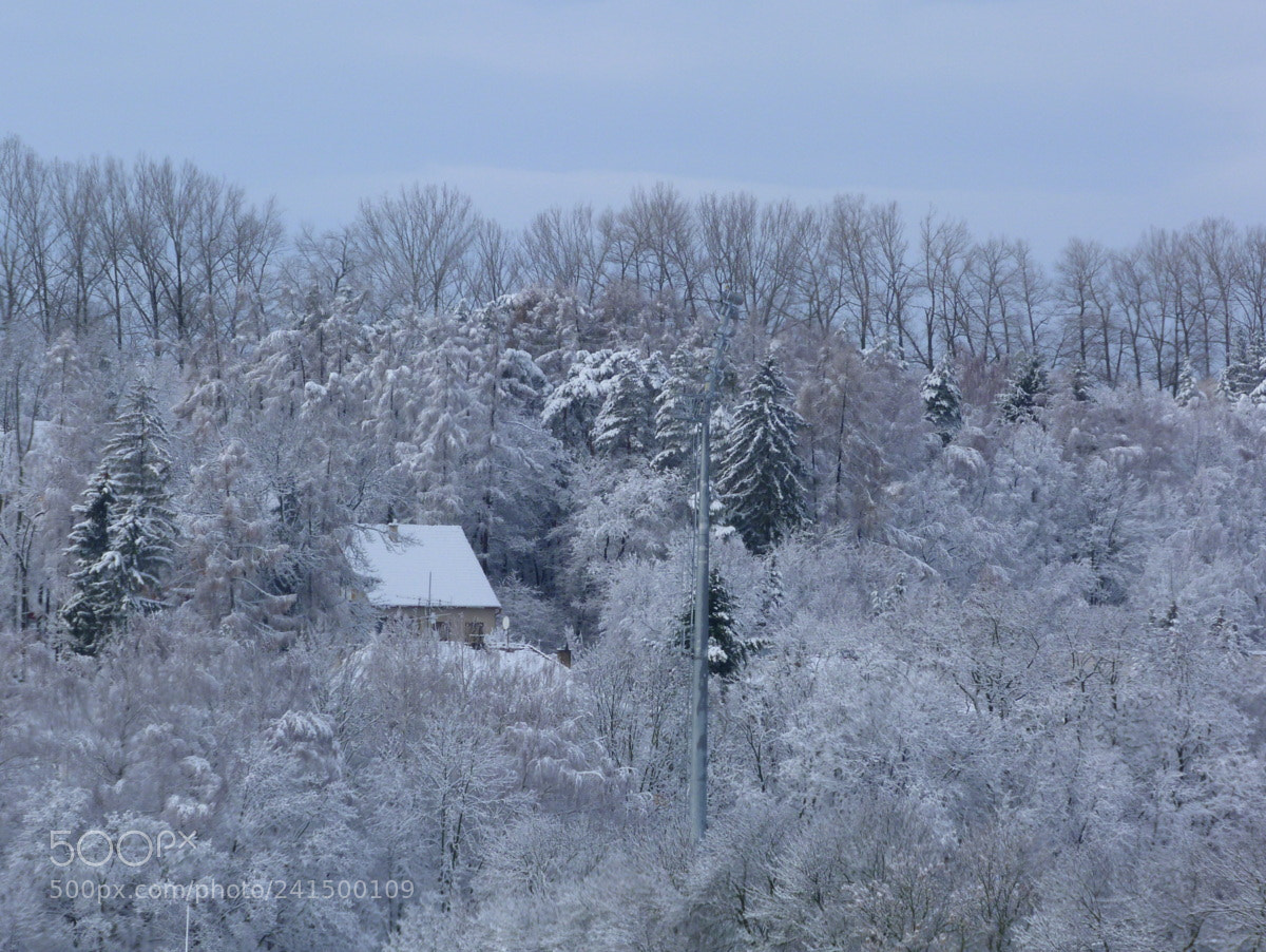 Panasonic Lumix DMC-FZ40 (Lumix DMC-FZ45) sample photo. Winter pictures from slovakia photography