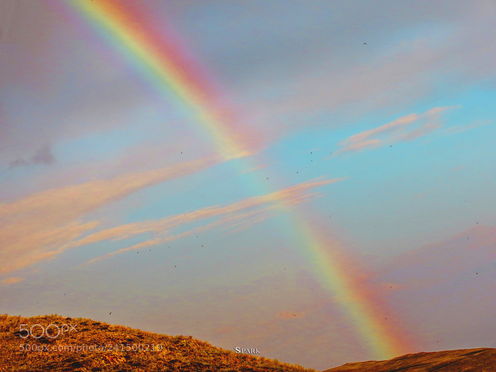 Canon PowerShot SX40 HS sample photo. Rainbow photography