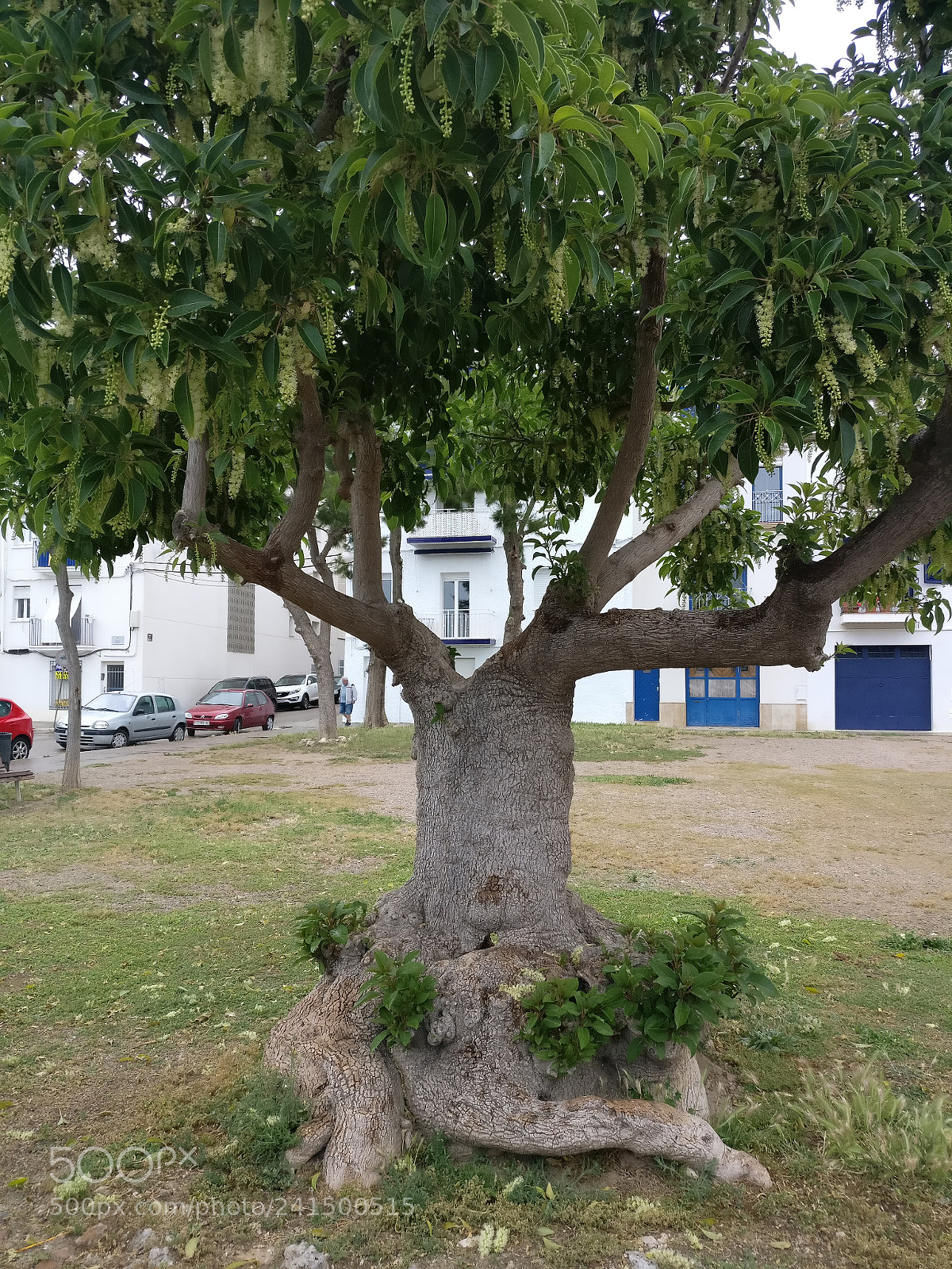 OnePlus A3003 sample photo. Img_20170518_192029.jpg photography