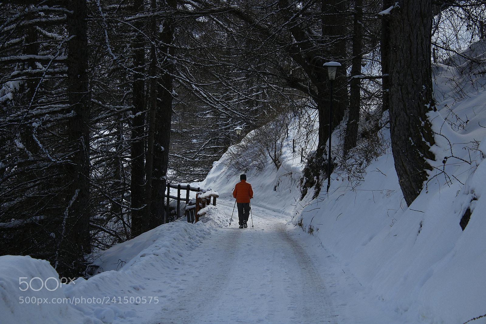 Canon EOS 1200D (EOS Rebel T5 / EOS Kiss X70 / EOS Hi) sample photo. Snowy path pt.2 photography