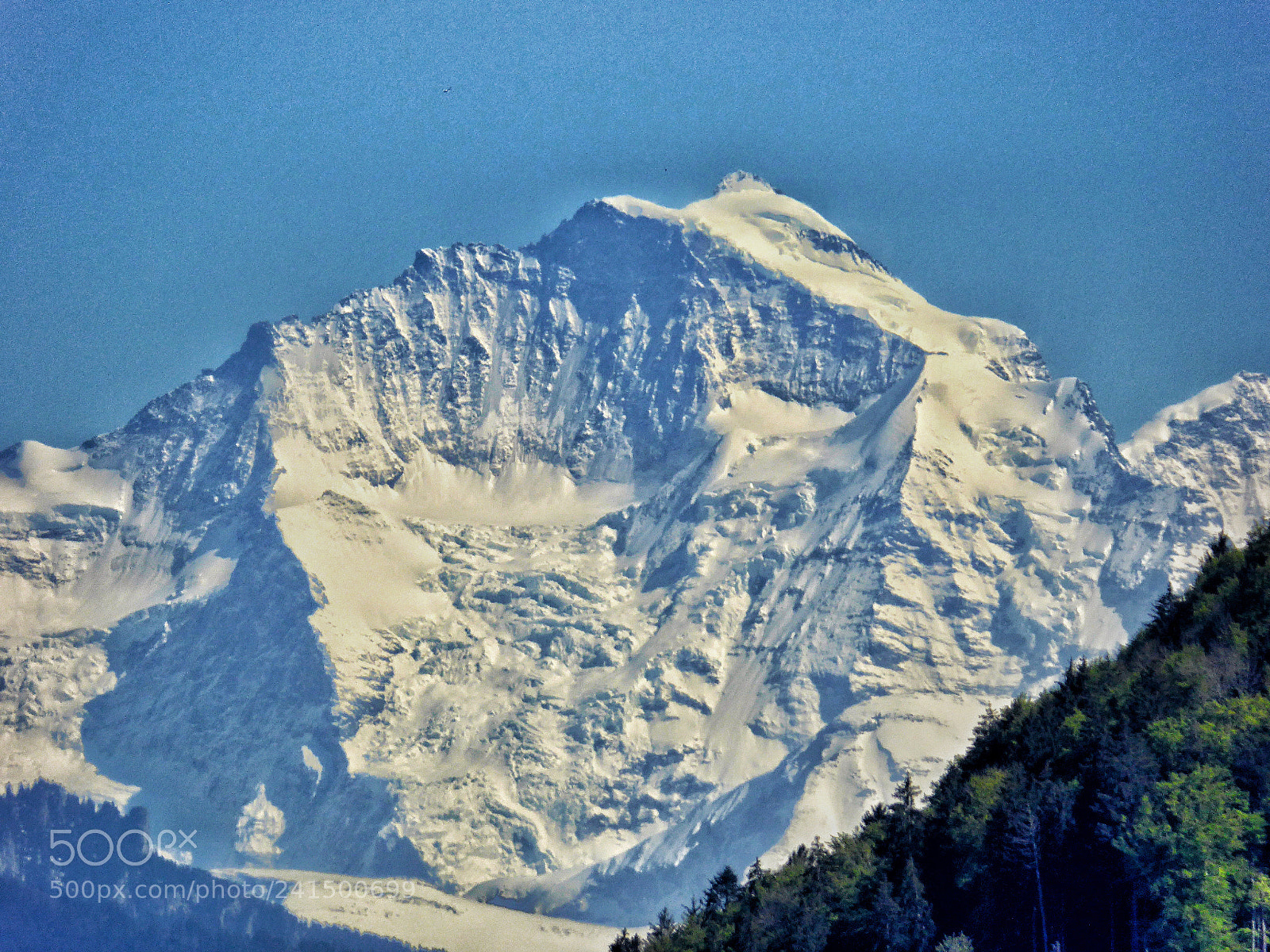 Panasonic DMC-TZ61 sample photo. Jungfrau from belp near photography