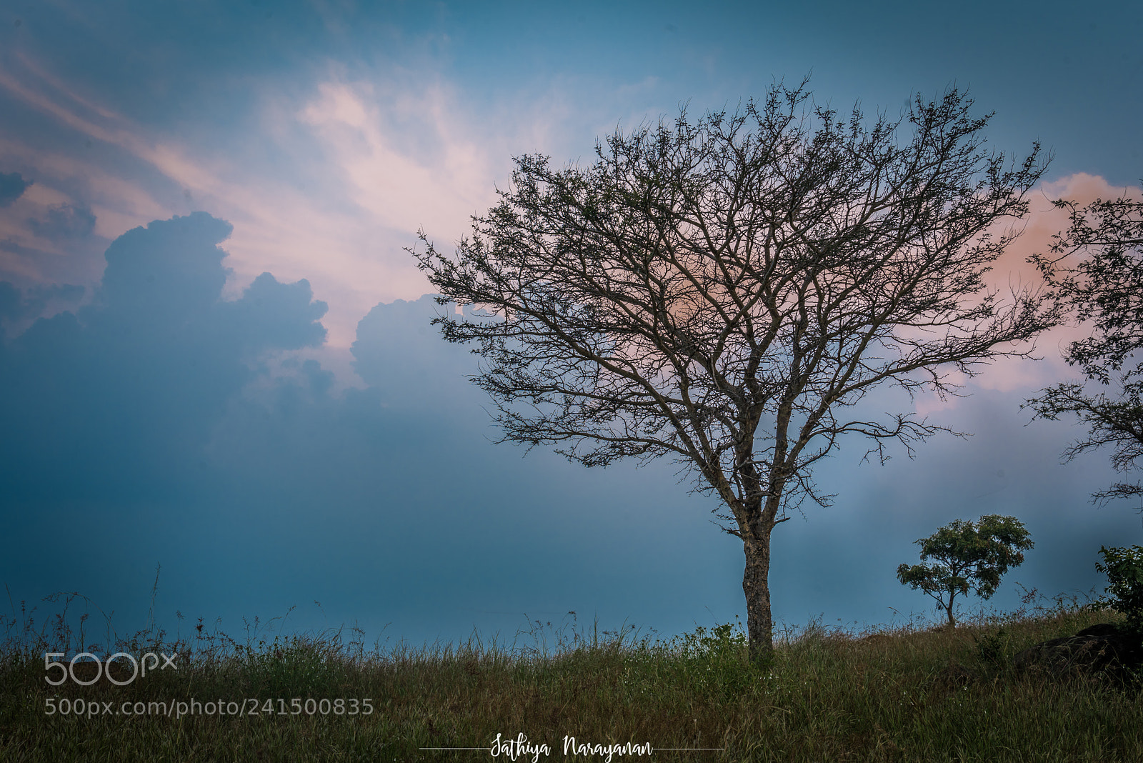 Nikon D810 sample photo. Sometimes you need to photography