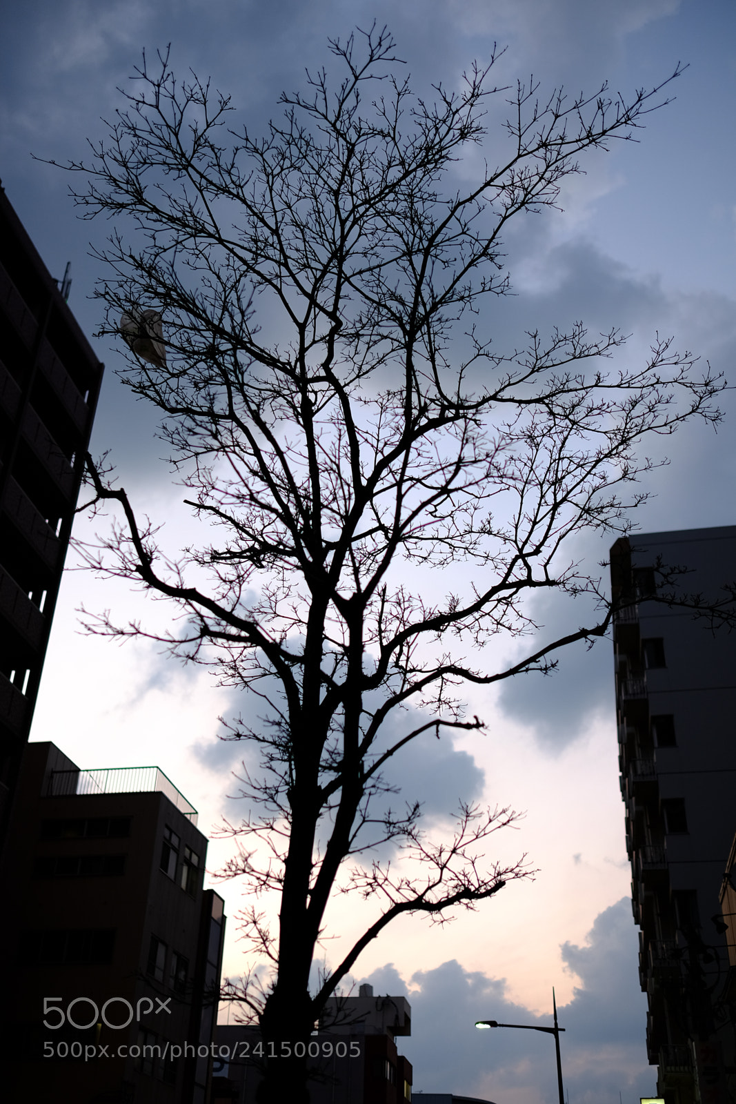 Fujifilm X-T10 sample photo. Son photography