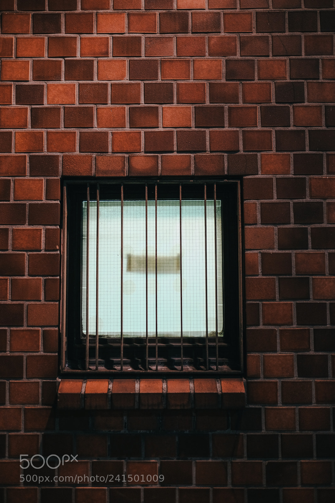 Fujifilm X-T10 sample photo. Son photography