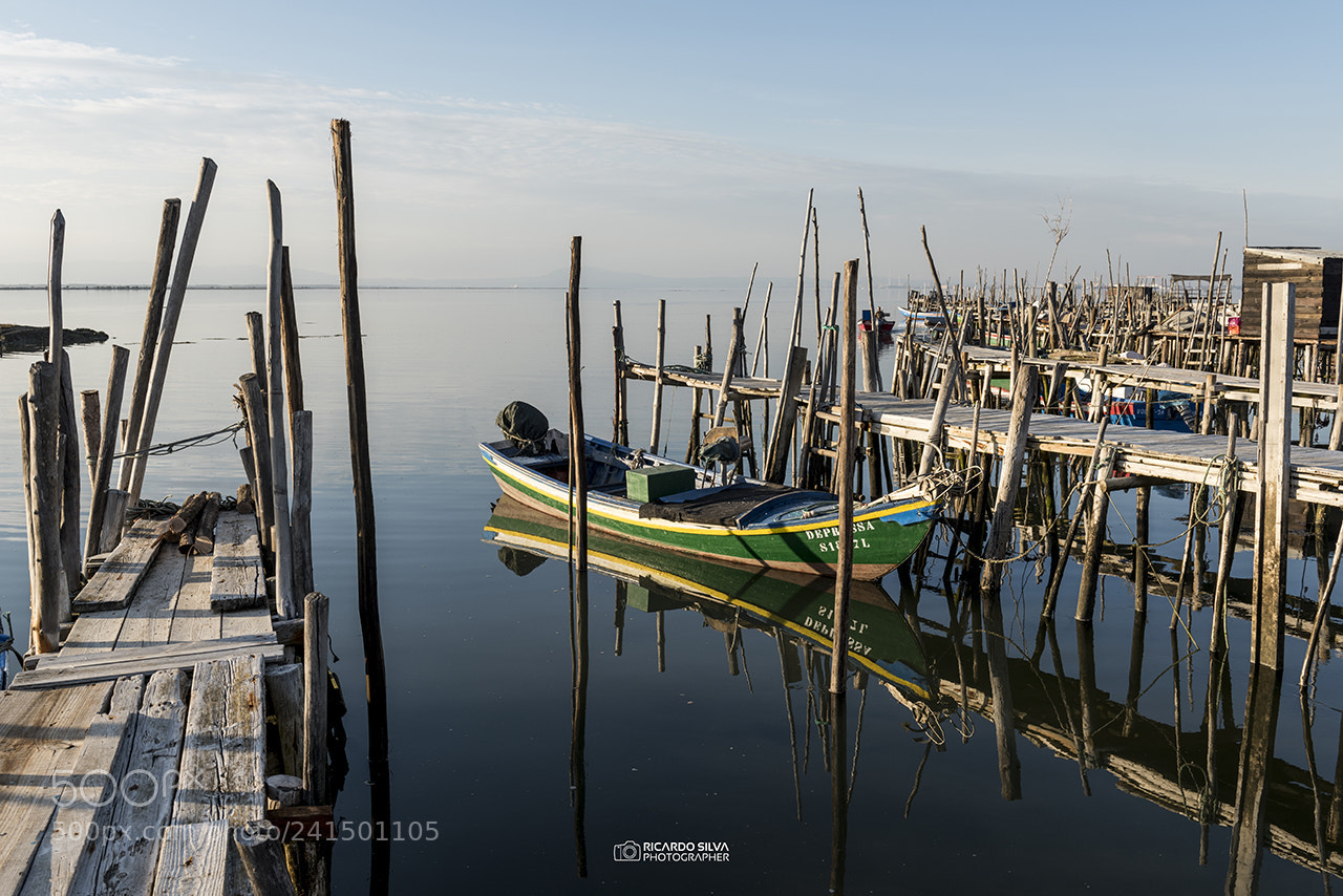 Nikon D810 sample photo. A different approach photography