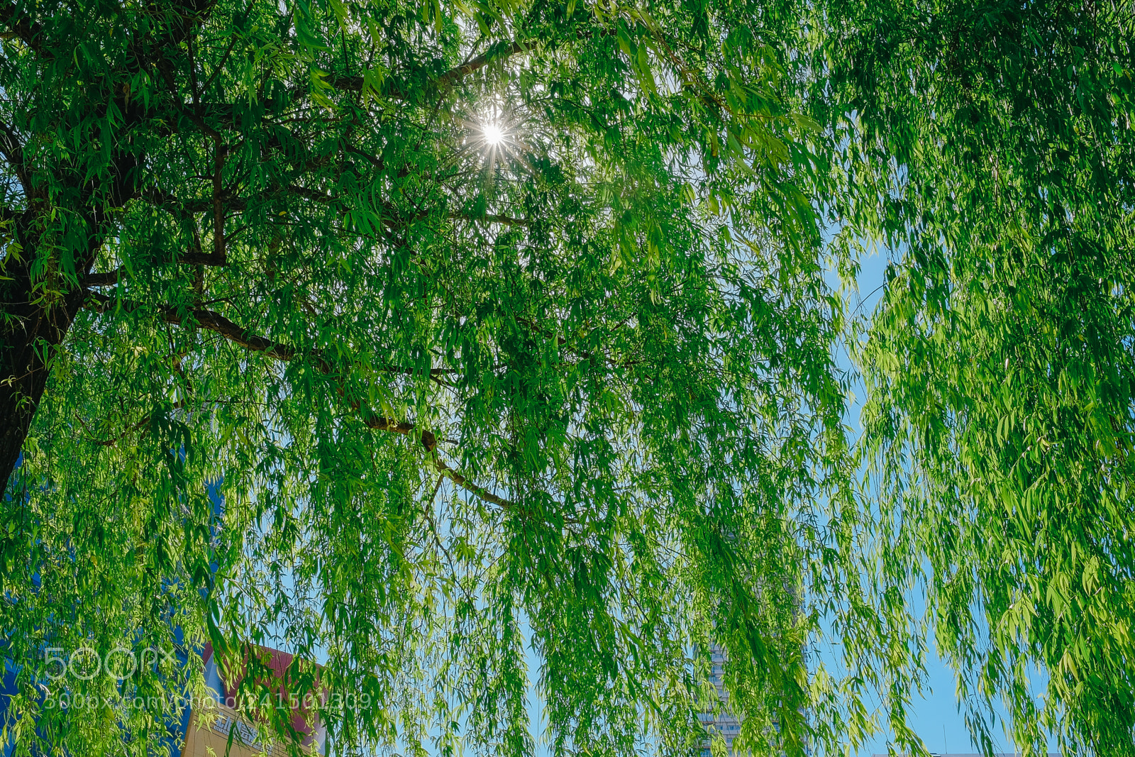 Fujifilm X-T10 sample photo. Son photography