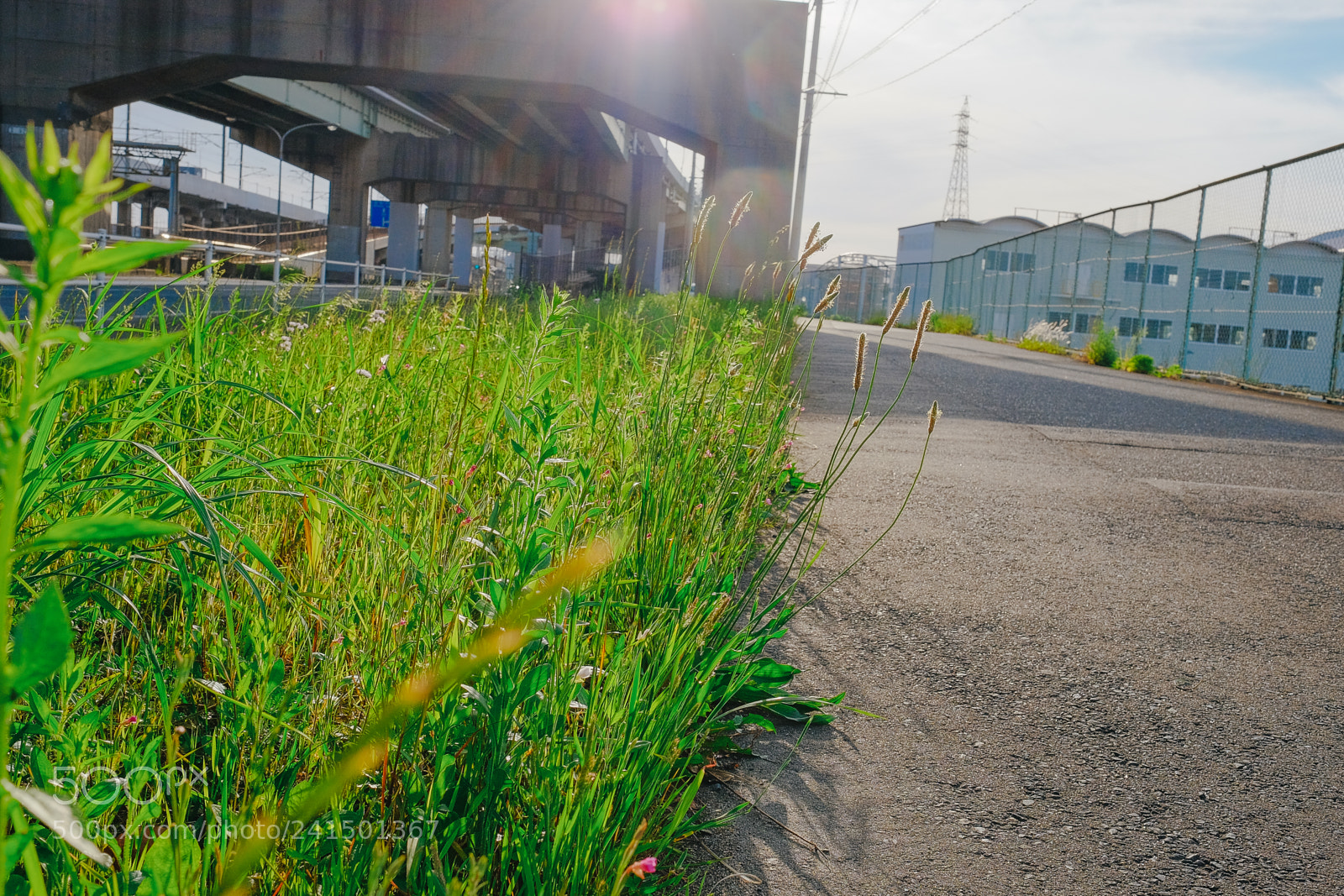 Fujifilm X-T10 sample photo. Son photography