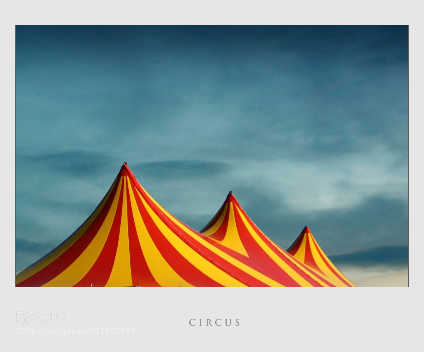 Canon EOS 450D (EOS Rebel XSi / EOS Kiss X2) sample photo. Circus photography
