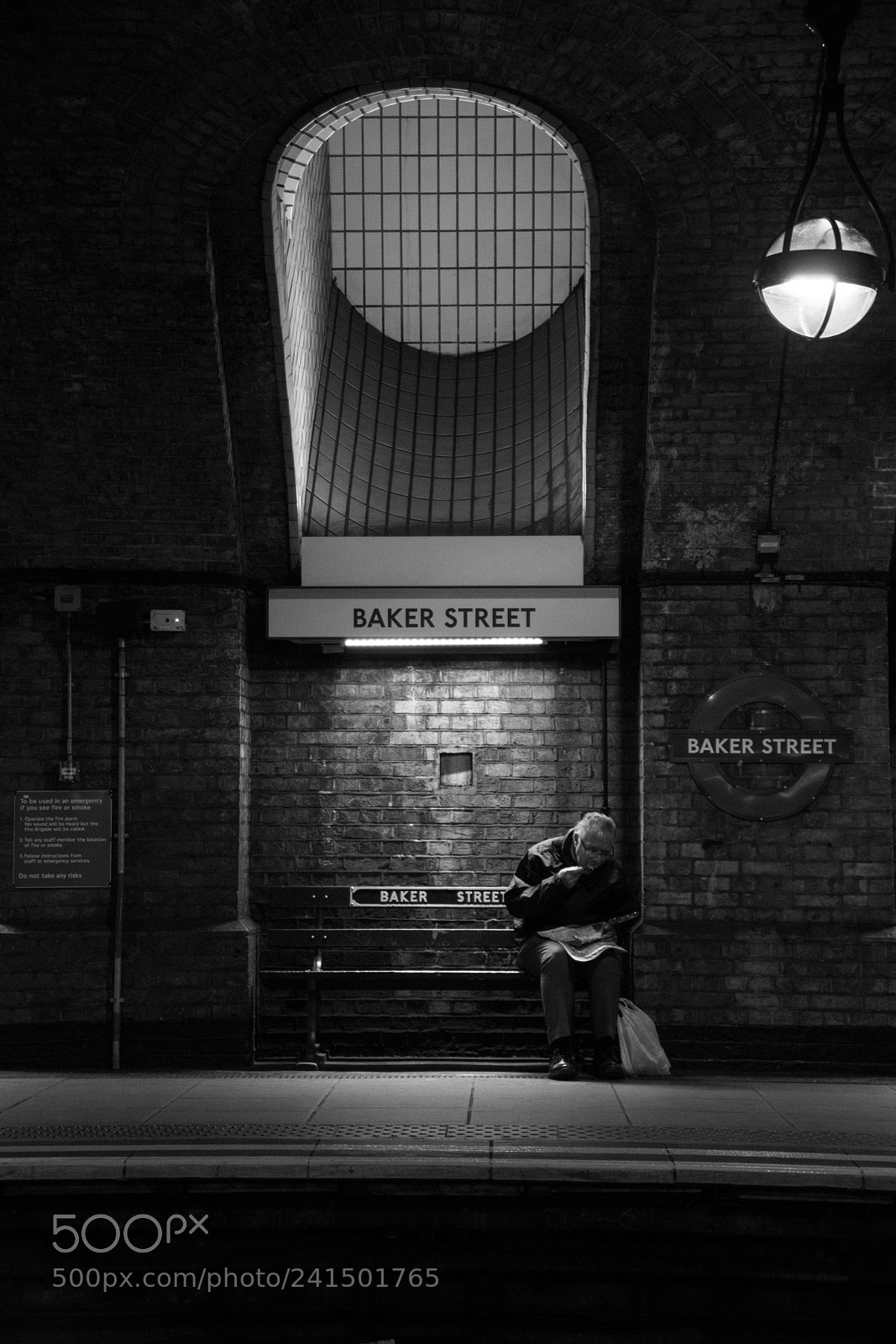 Sony SLT-A65 (SLT-A65V) sample photo. The loner.jpg photography