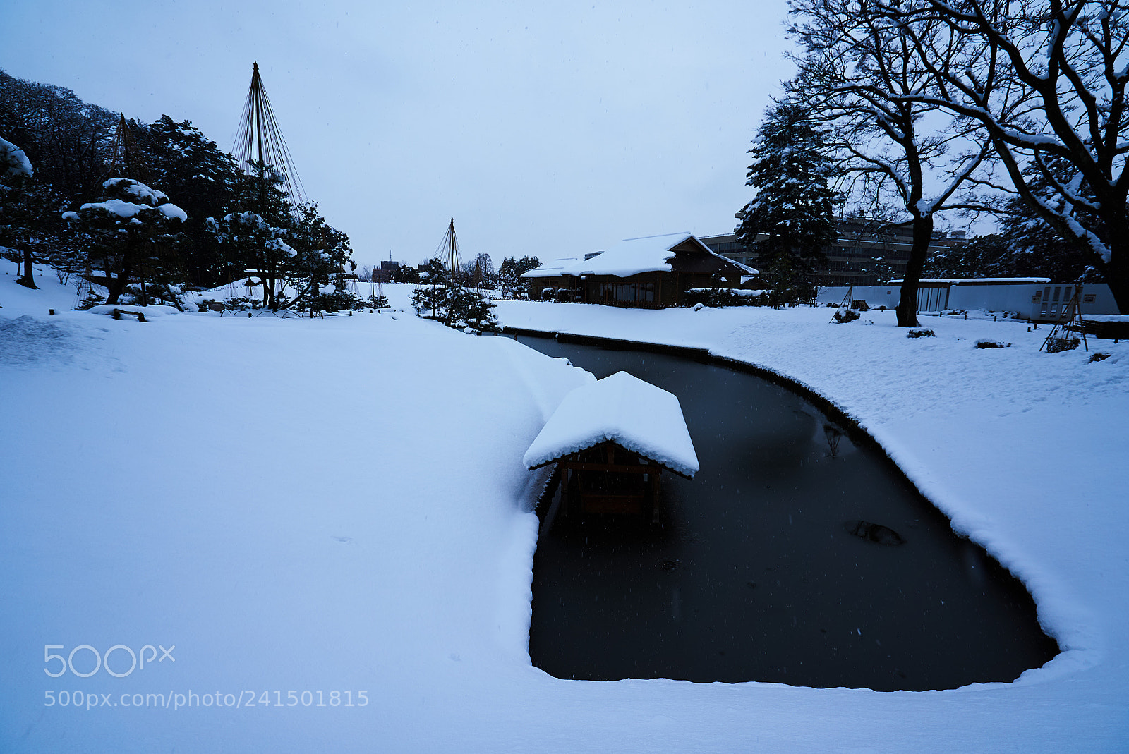 Sony a7S sample photo. 金沢兼六園 photography