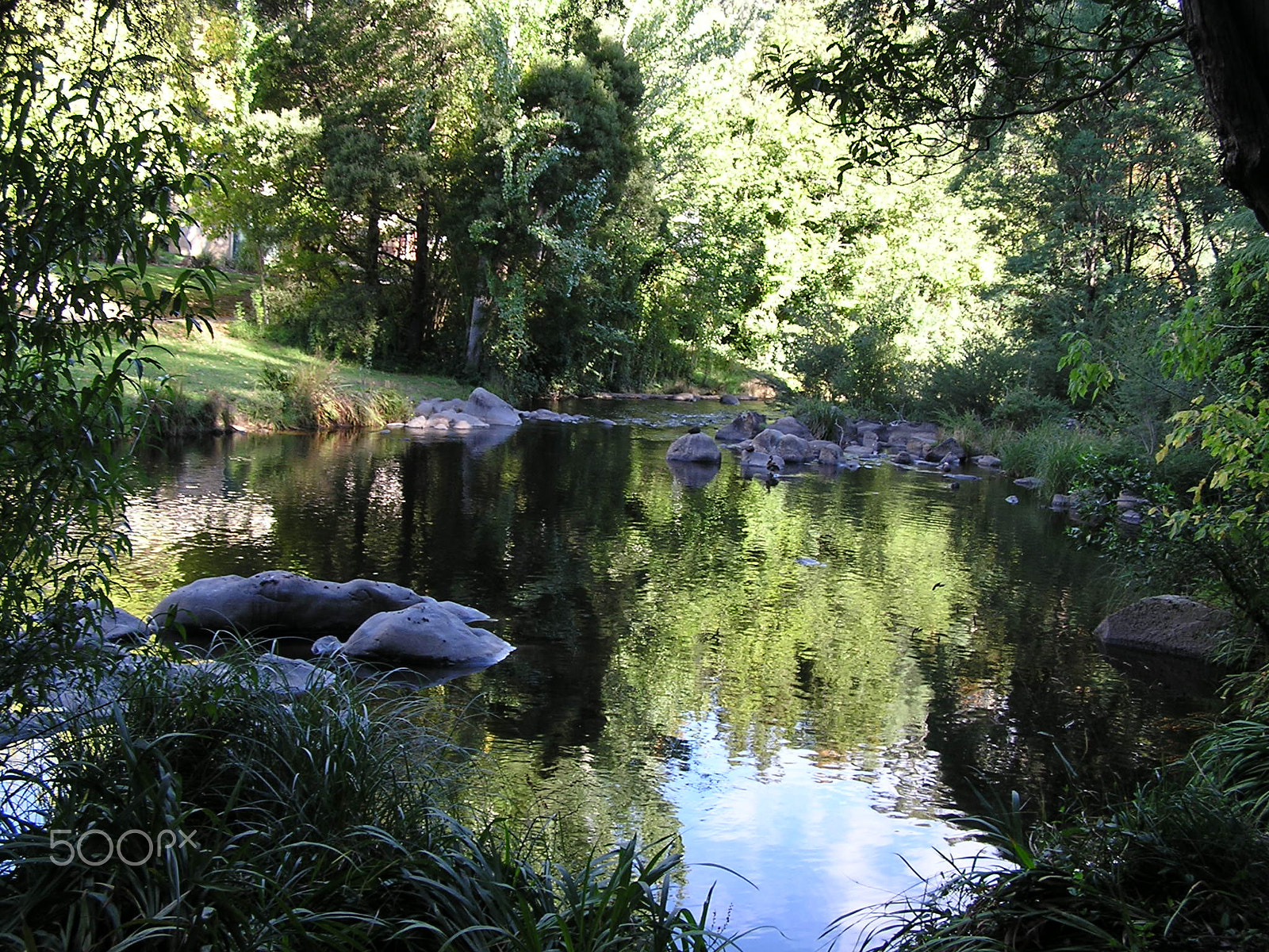 Olympus C740UZ sample photo. Yarra river warburton victoria photography
