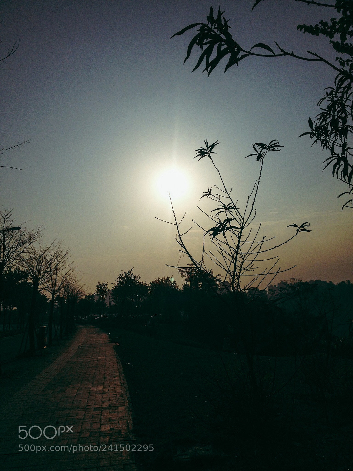 Apple iPhone 4S sample photo. Untitled photography