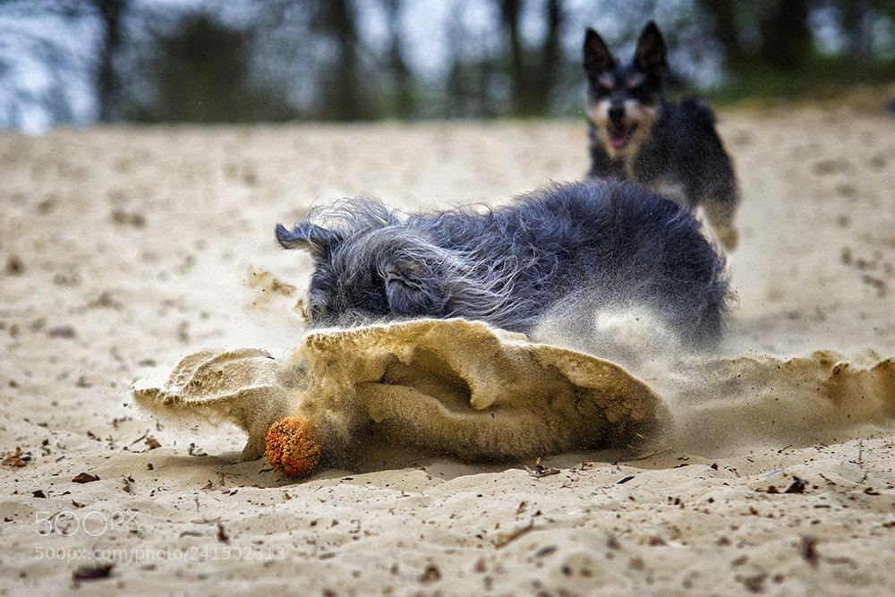 Pentax K-5 sample photo. Ne welle machen photography