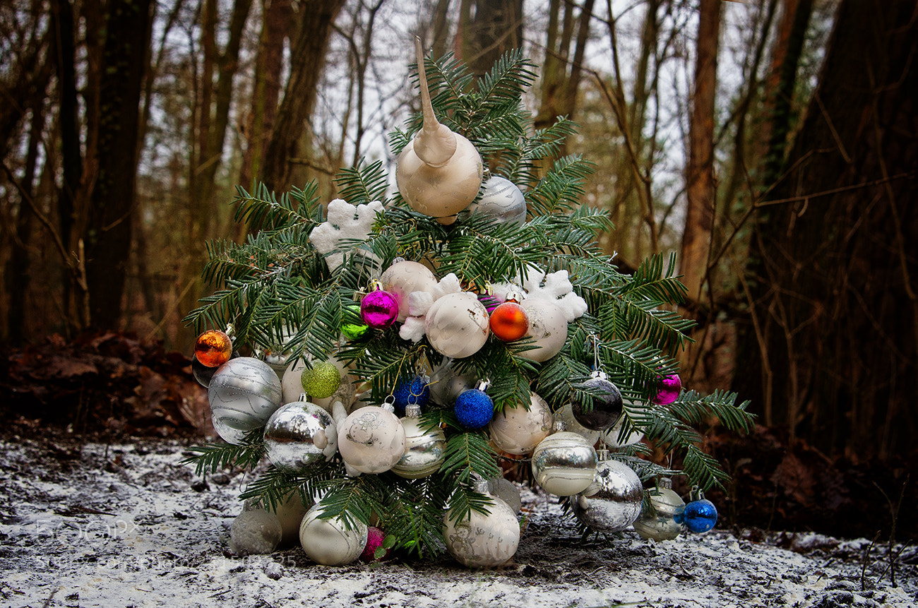 Pentax K-5 II sample photo. Und es kommt doch photography