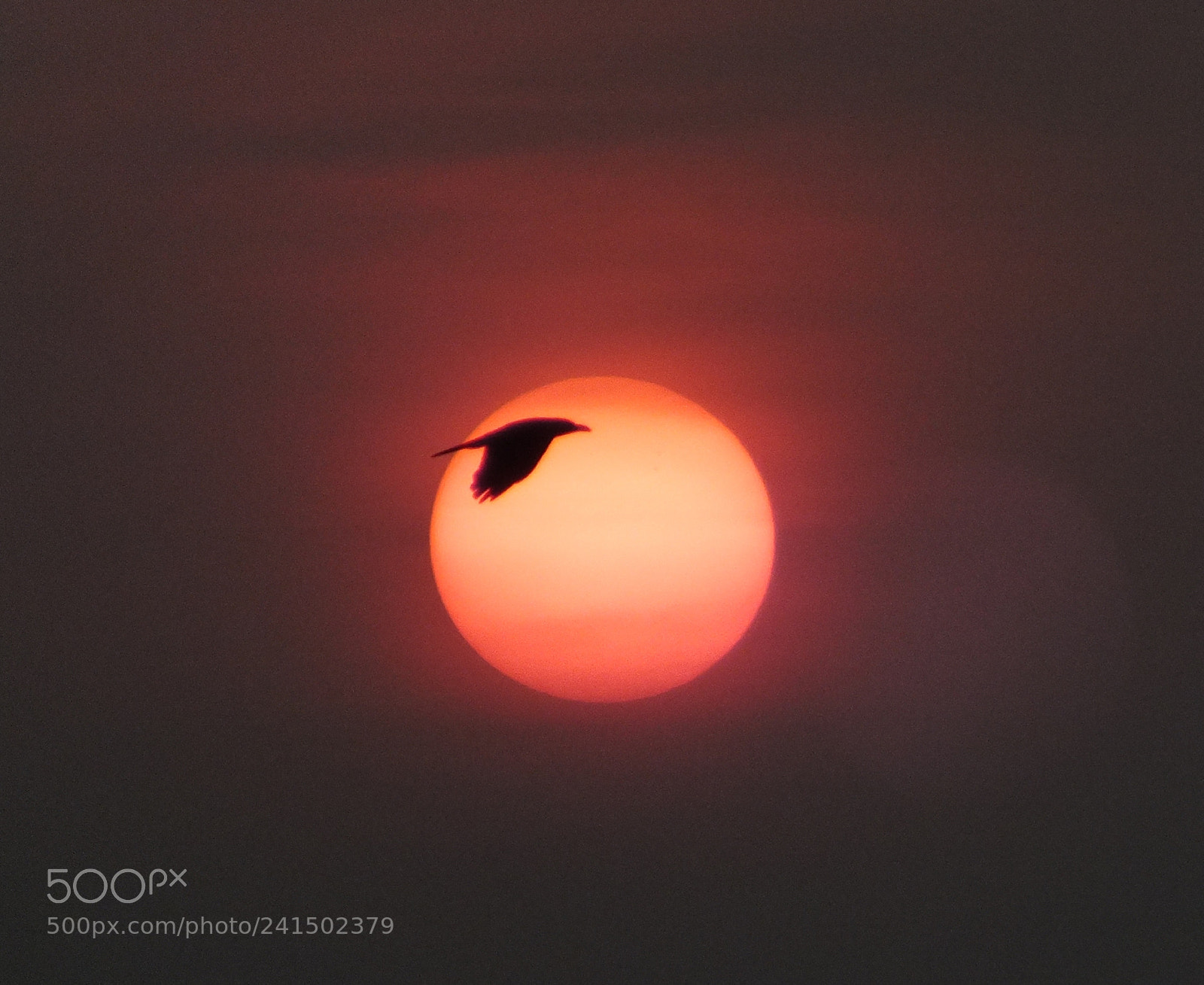 Fujifilm FinePix HS30EXR sample photo. Sunset photography