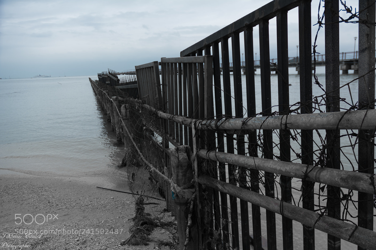 Nikon D7100 sample photo. Tes photography