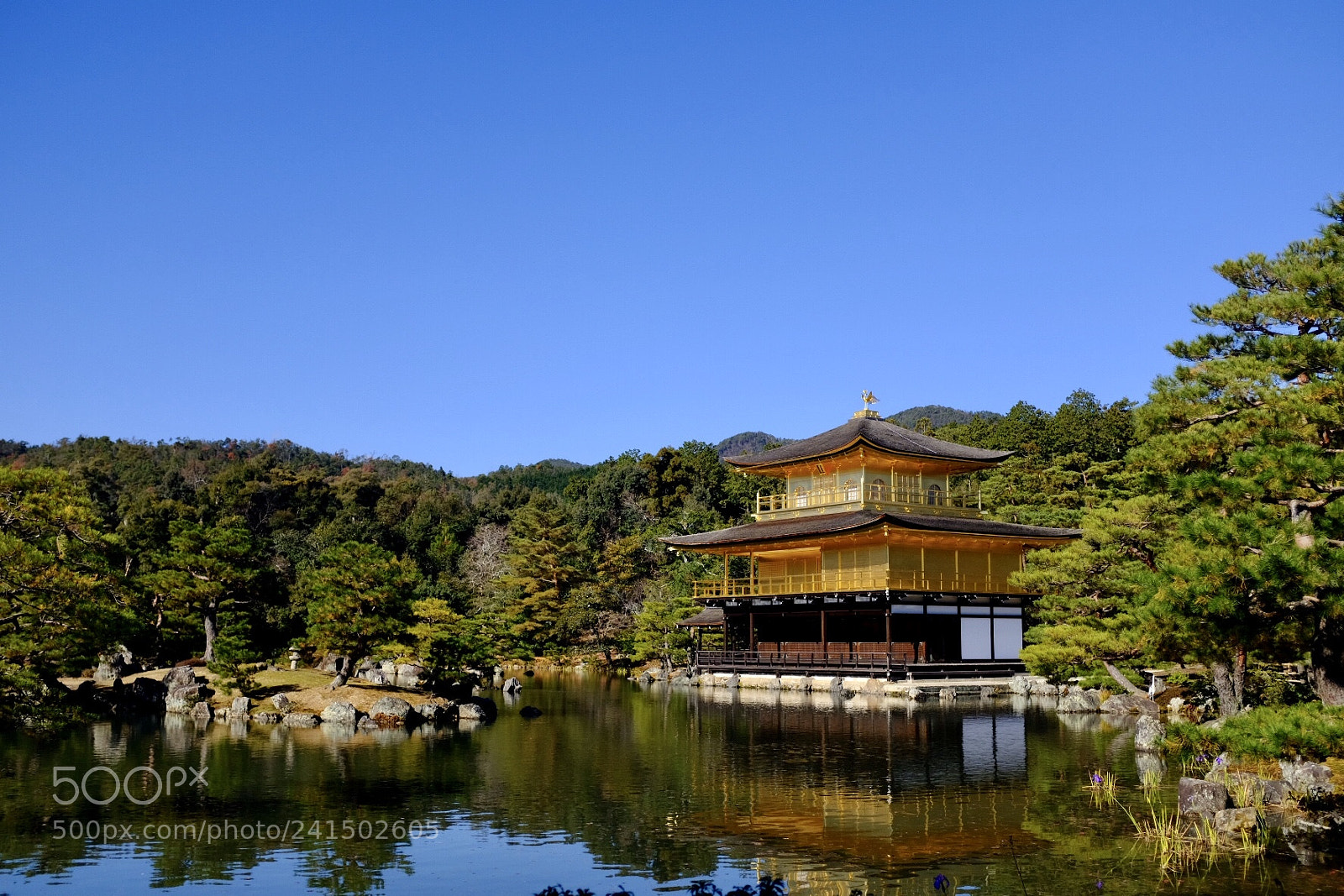 Fujifilm X100F sample photo. 金阁寺 photography