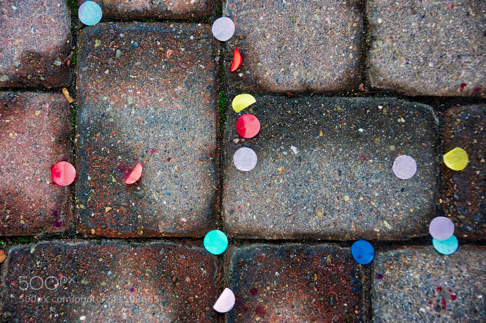 Pentax K-3 sample photo. Litter photography