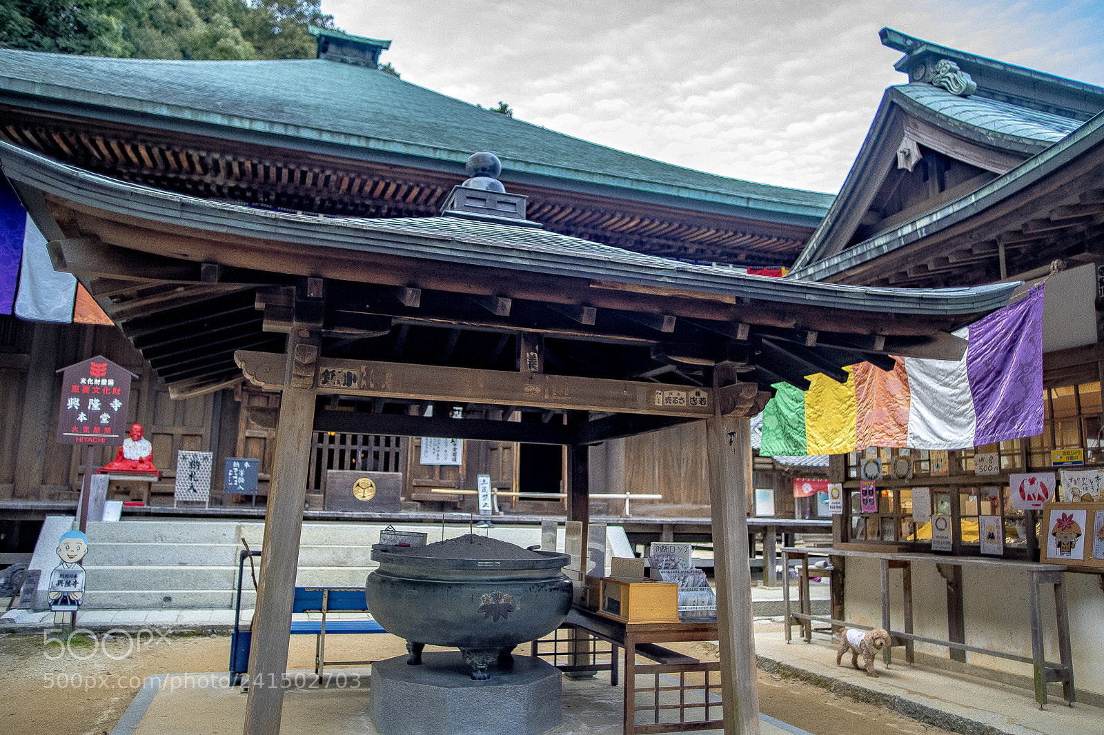 Sony a7 II sample photo. Nishiyamakouryuji photography
