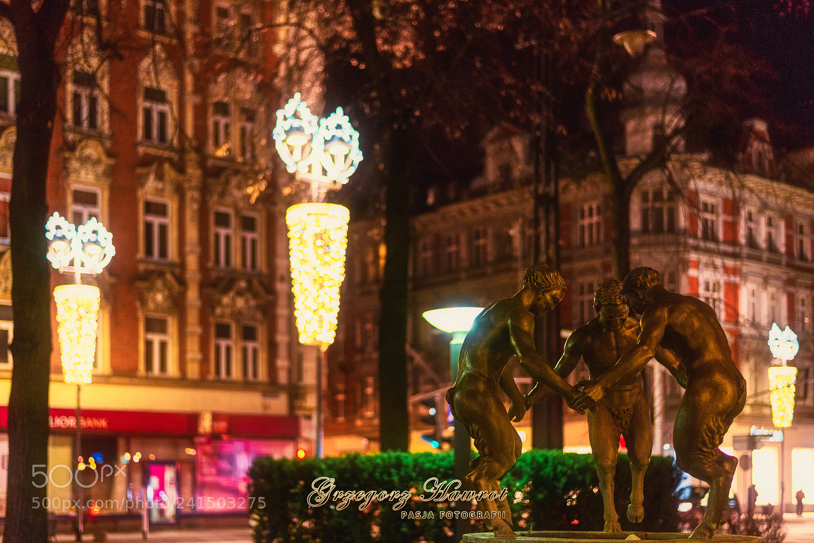 Nikon D800 sample photo. Ta cz ce fauny photography
