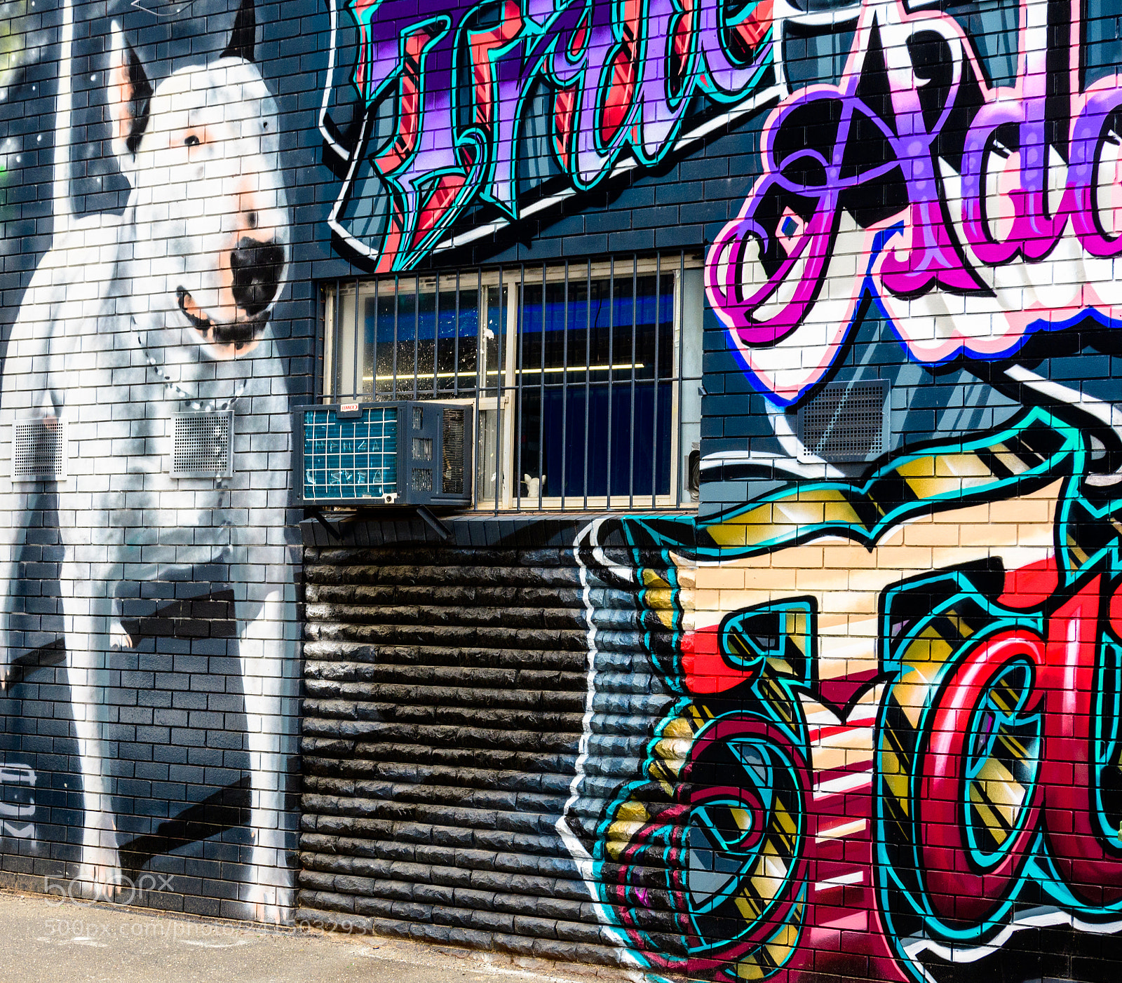 Nikon D7500 sample photo. Woof woof! photography