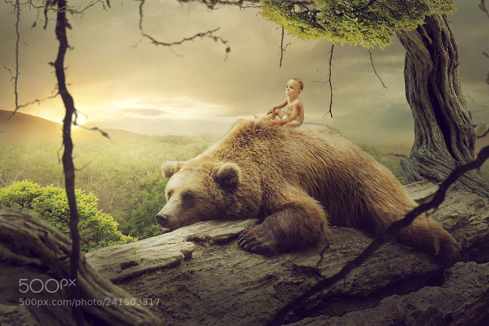 Canon EOS 60D sample photo. Jungle book photography