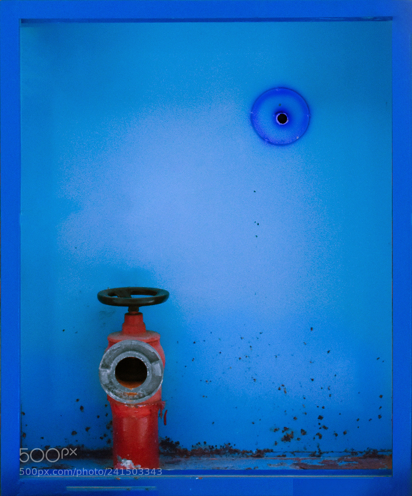 Nikon D7200 sample photo. Untitled photography
