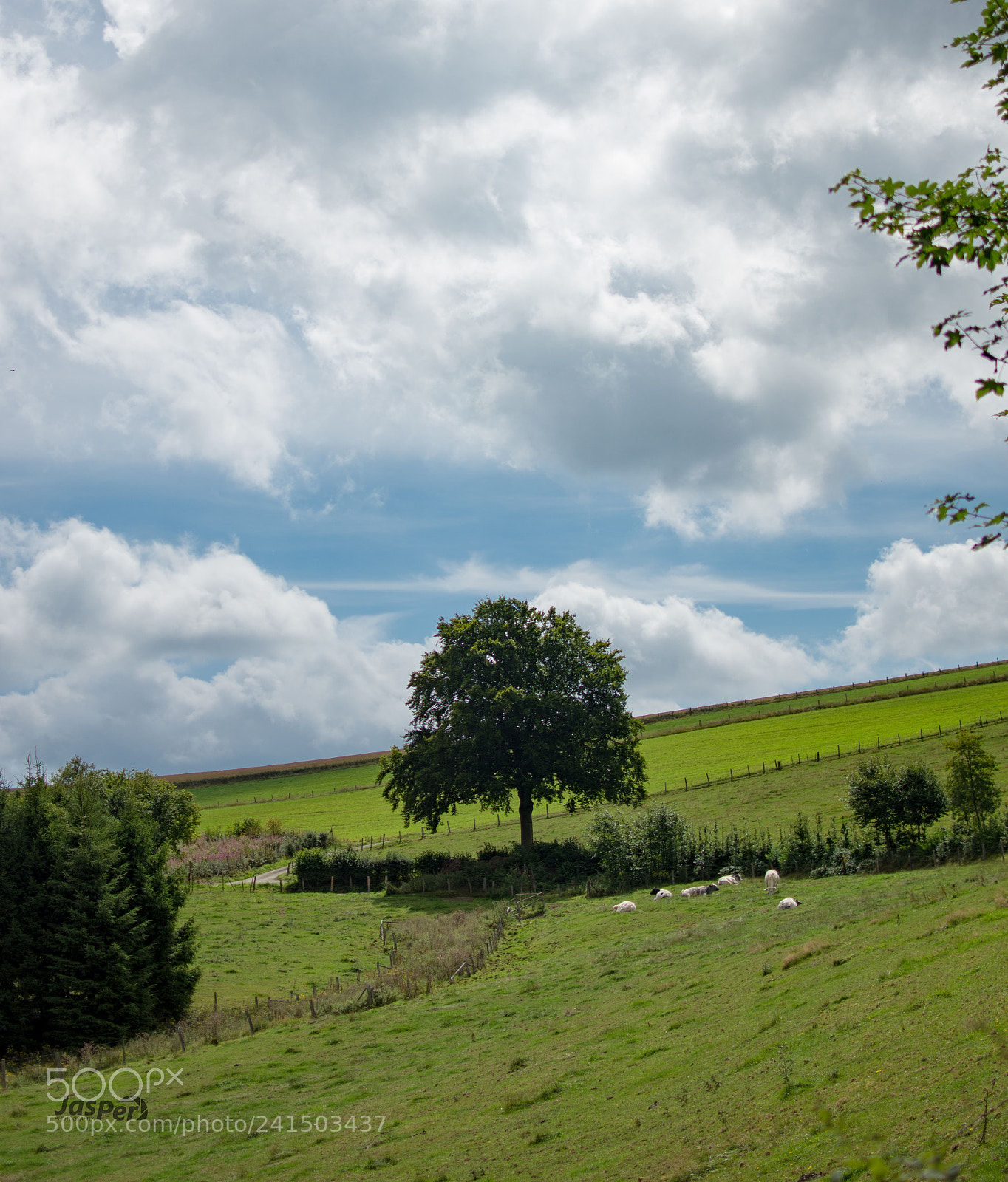 Nikon D7200 sample photo. View photography