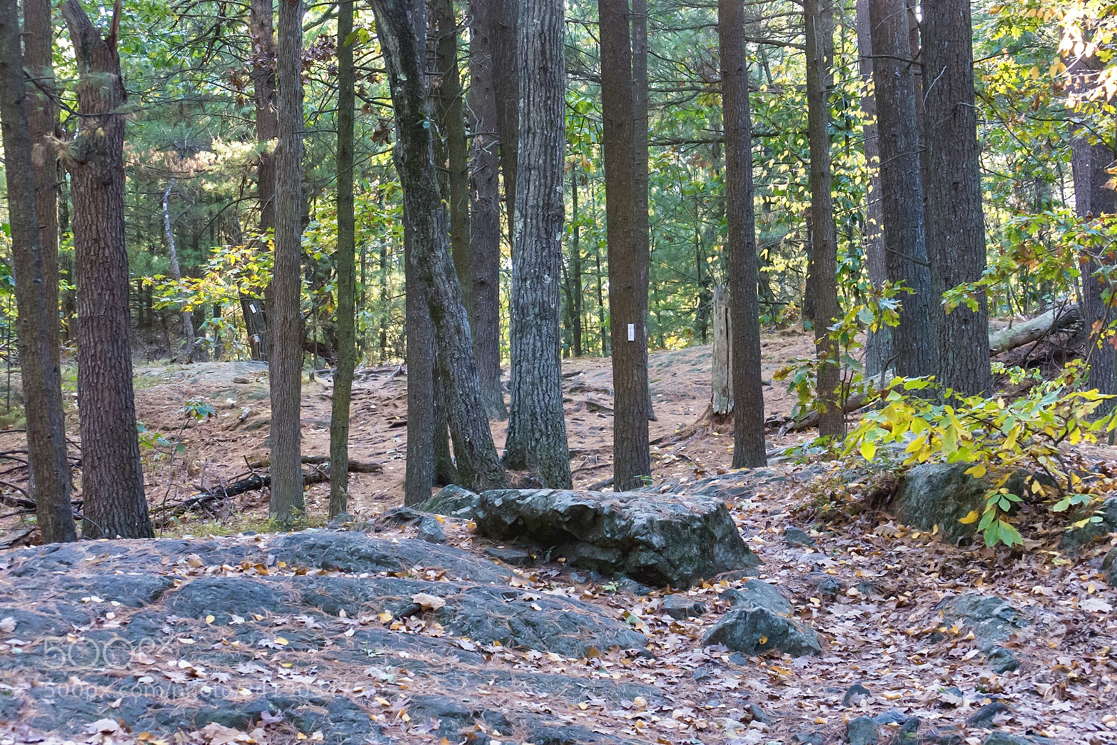 Nikon D7200 sample photo. Warmer times photography