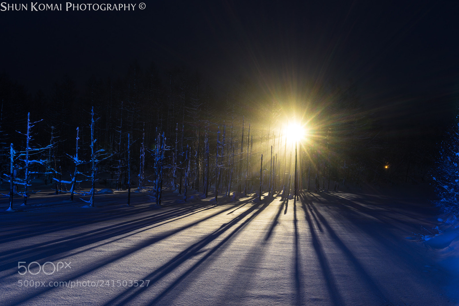 Sony a7 sample photo. Shine photography