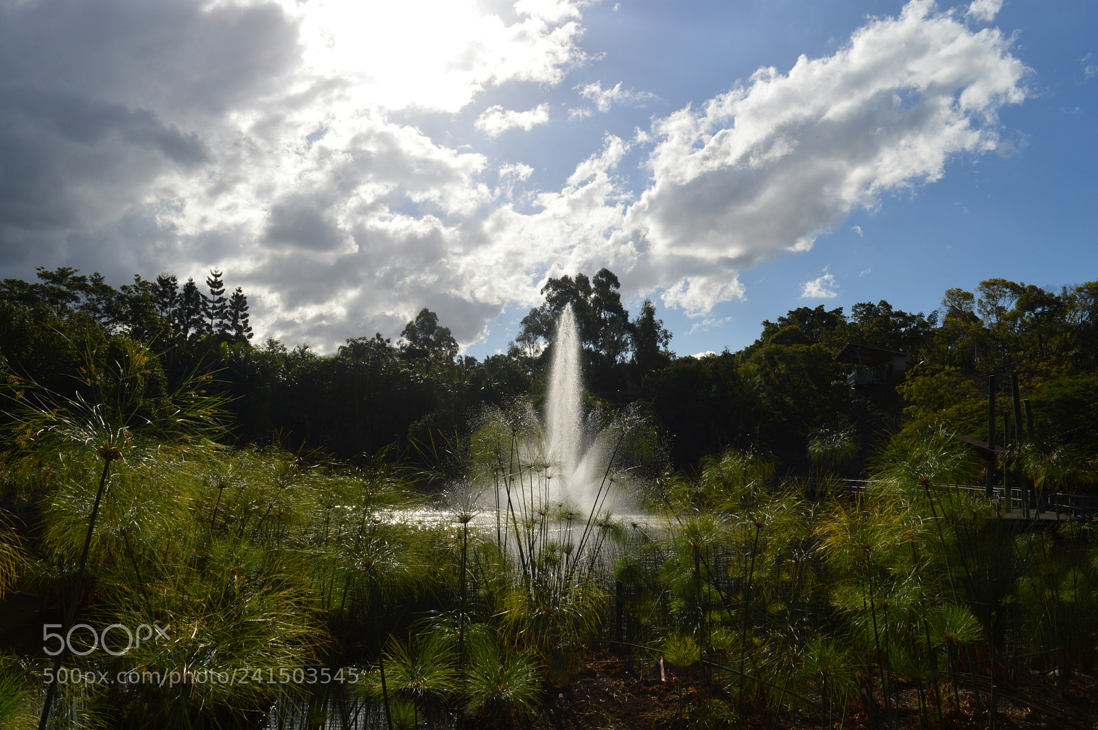 Nikon D3200 sample photo. Fountain photography