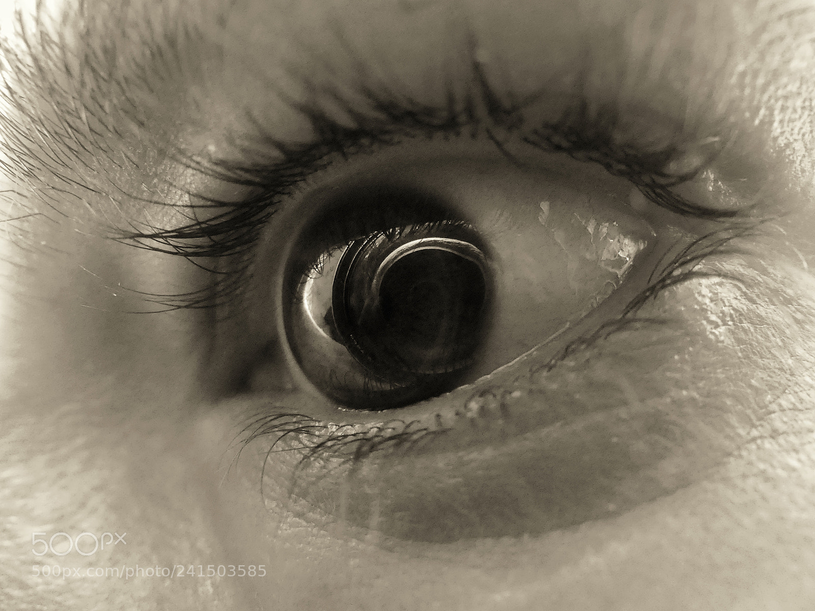 Panasonic Lumix DMC-FZ300 sample photo. Eye. photography