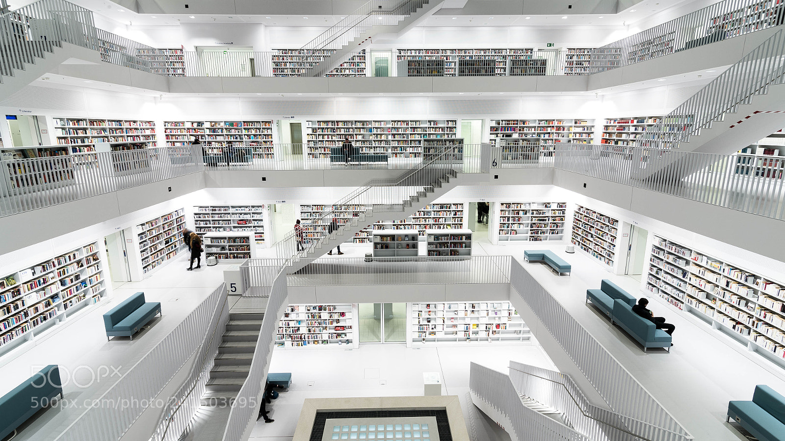 Nikon D4 sample photo. Library photography