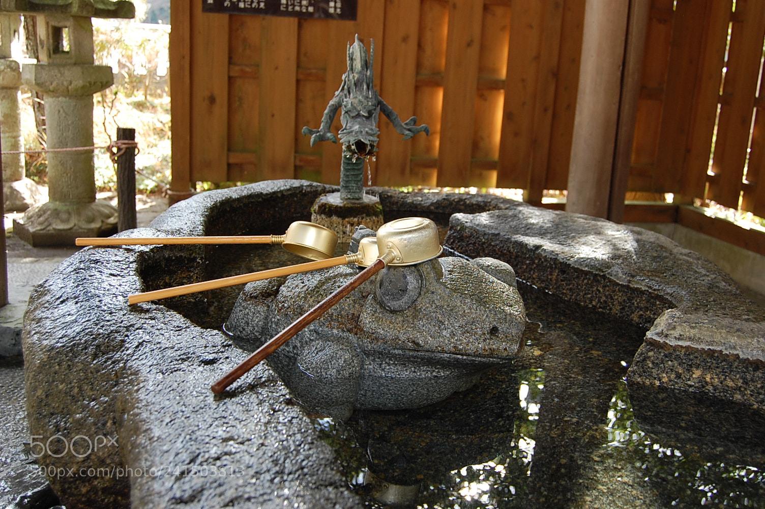 Nikon D40 sample photo. Untitled photography