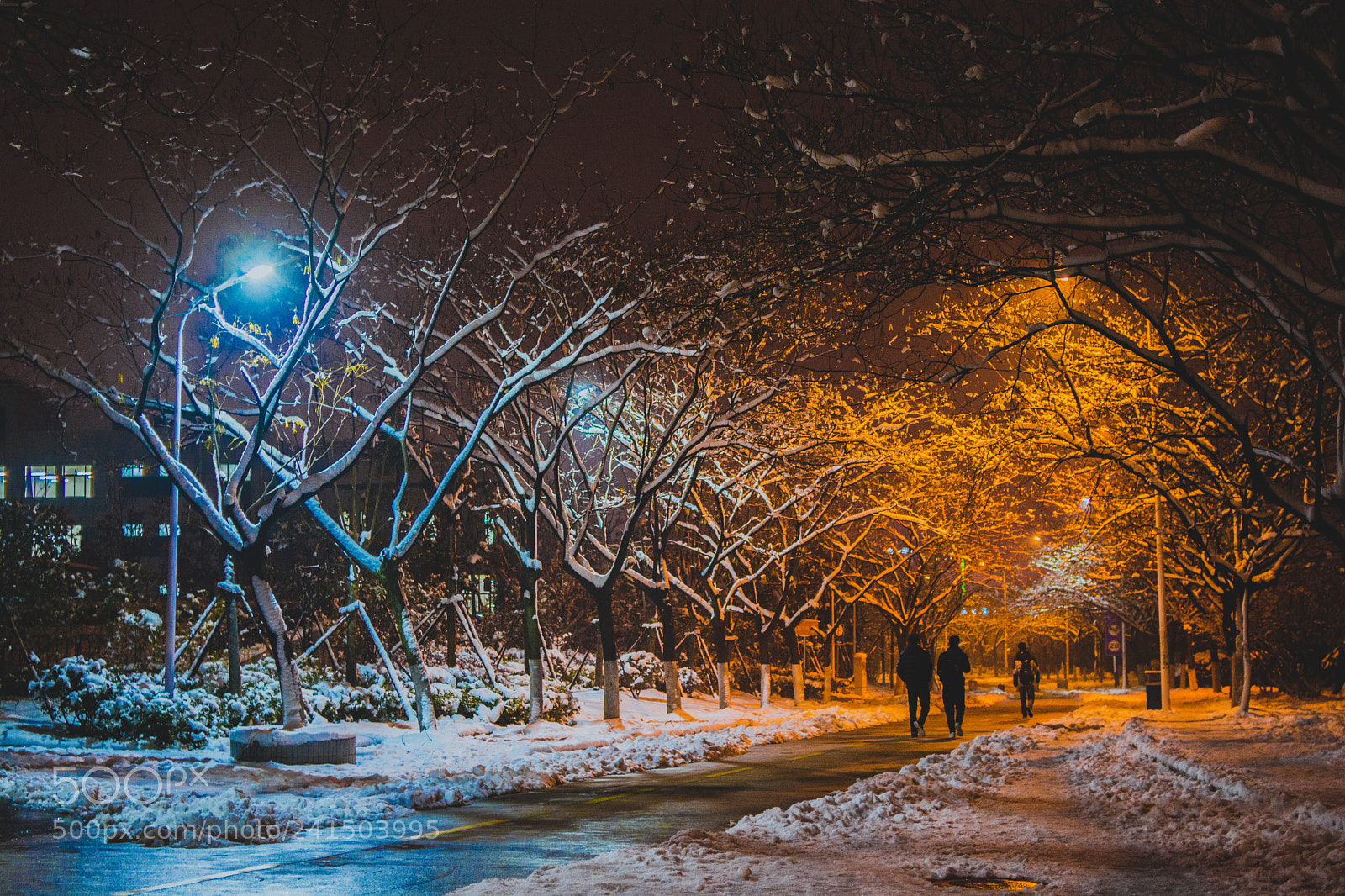 Nikon D7100 sample photo. Hfut photography