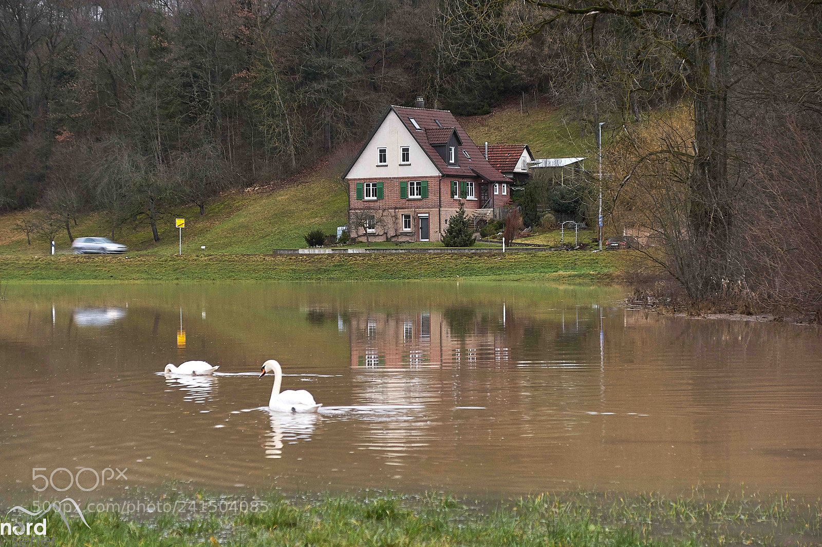 Sony ILCA-77M2 sample photo. Lake pliezhausen - Überschwemmung photography