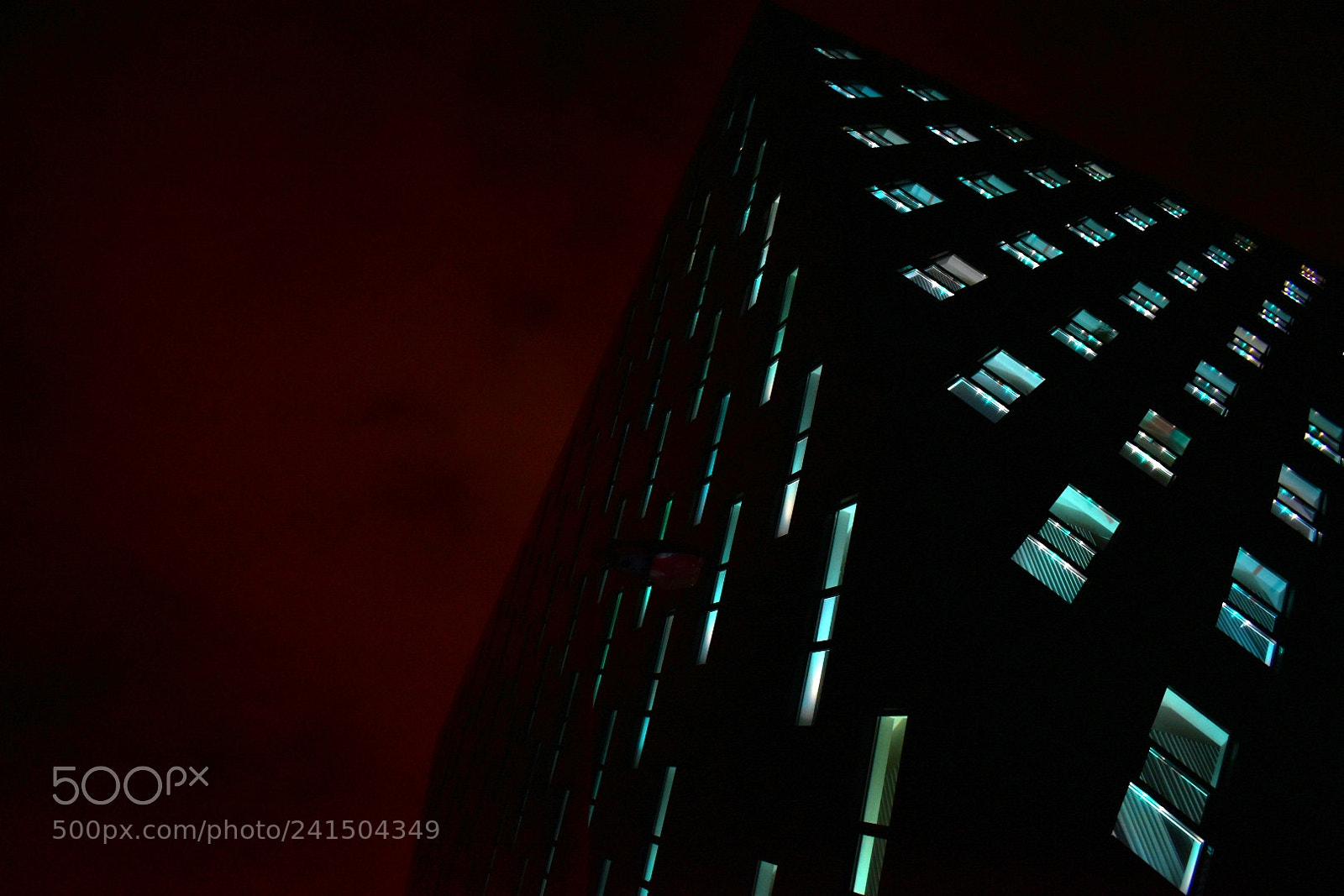 Nikon D5600 sample photo. Green lights photography