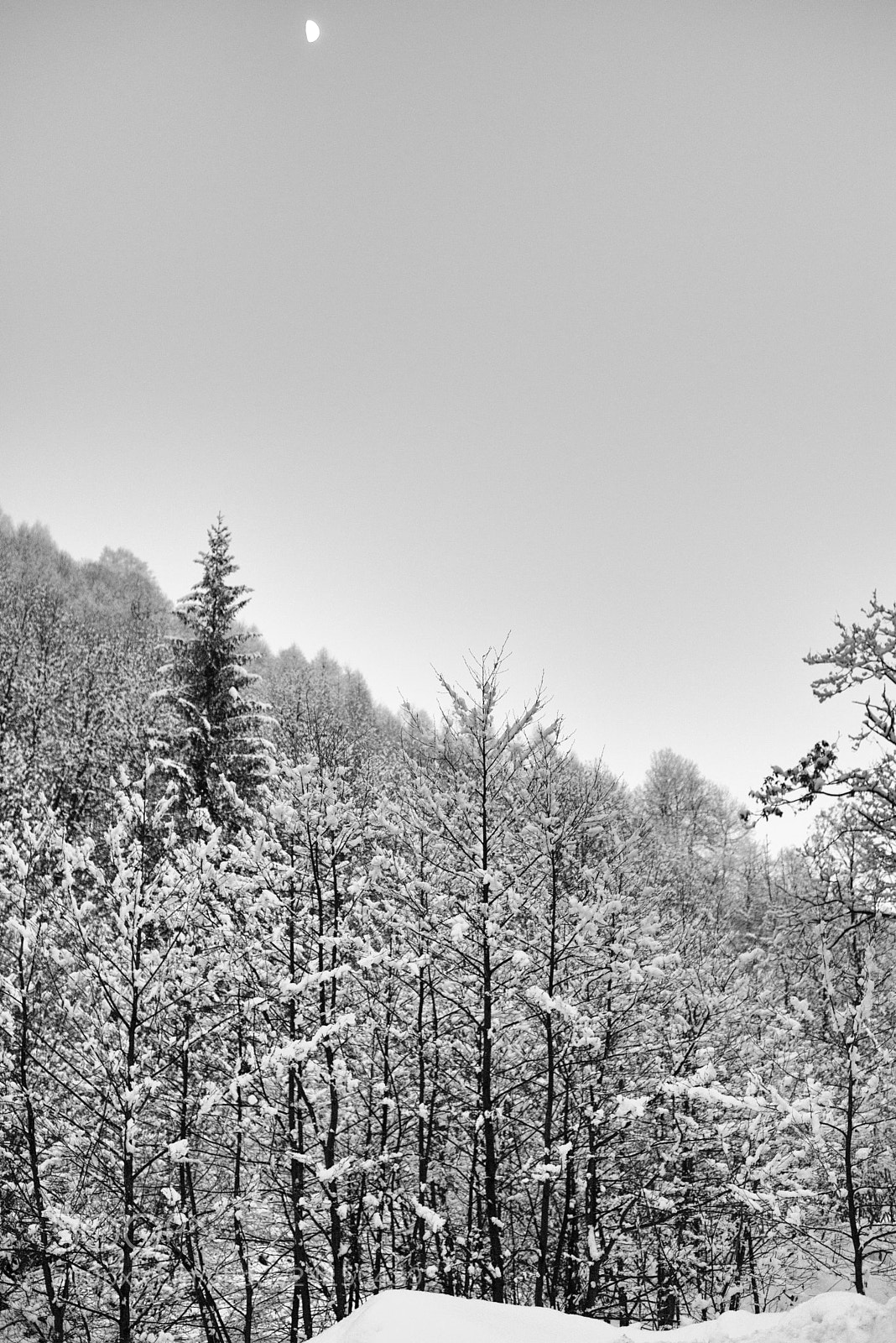 Nikon D800 sample photo. Soldiers photography
