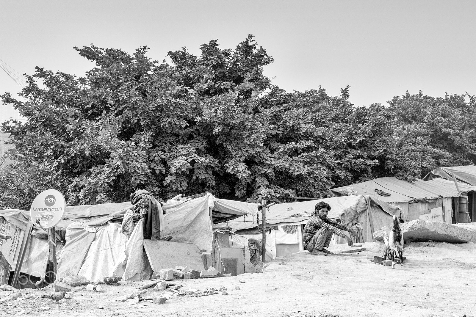 Fujifilm X100T sample photo. City jungle photography