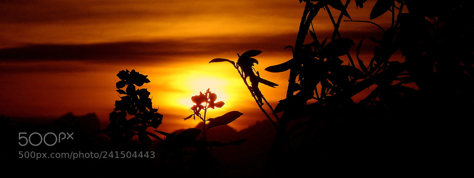 Fujifilm FinePix SL1000 sample photo. Summer picture .. photography