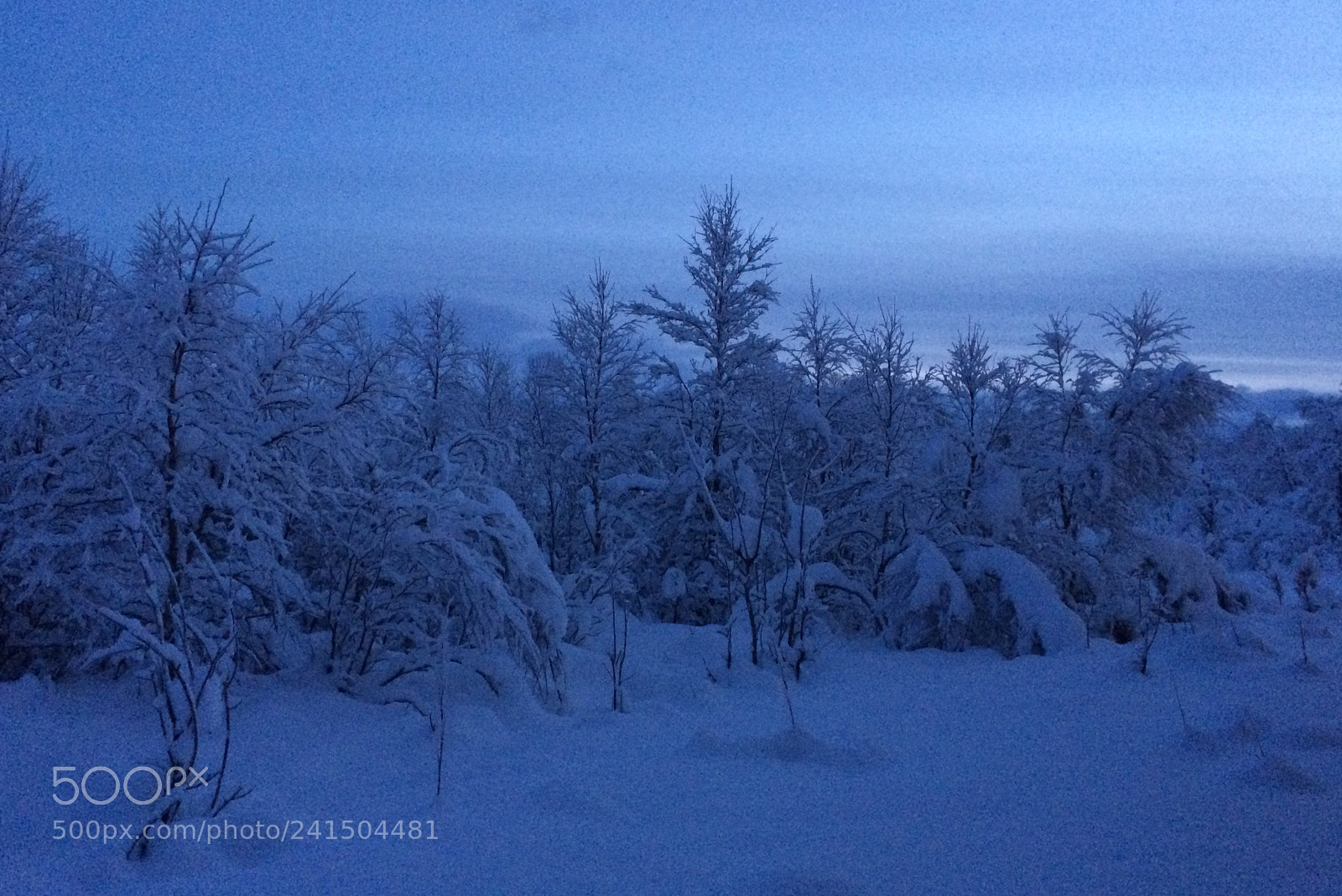 Apple iPhone 5s sample photo. Bluehour photography