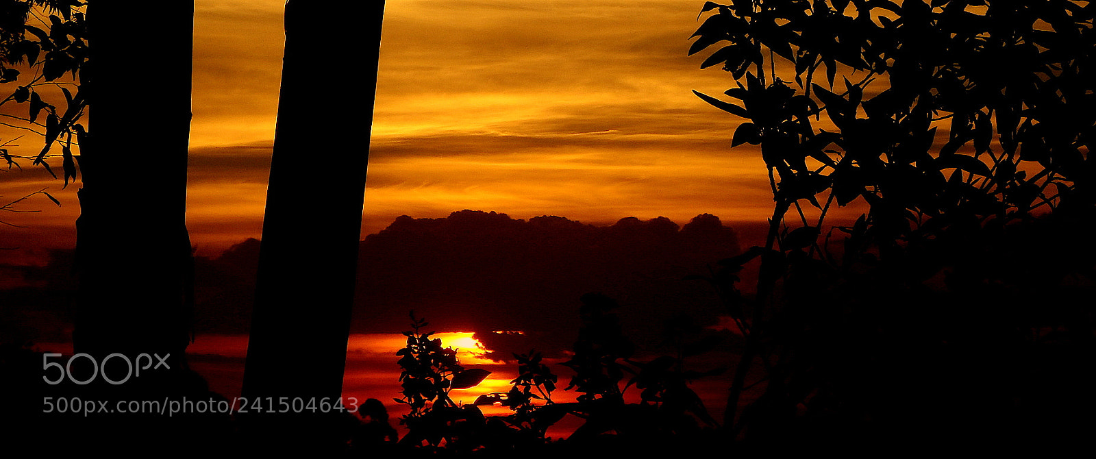 Fujifilm FinePix SL1000 sample photo. Day end ..picture photography