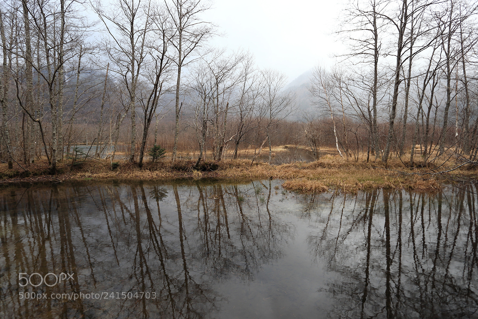 Canon EOS 6D + Canon EF 17-40mm F4L USM sample photo. Kamikochi, japan photography